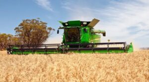 combine harvestor